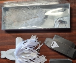 Wedding pen and 100 gift boxes