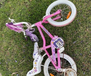 1 small girls mongoose bike to give away - see photo.