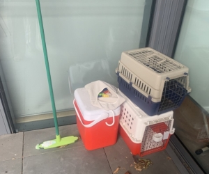 Cat Transport Carrier