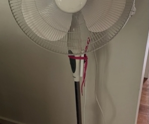 Pedestal Fan