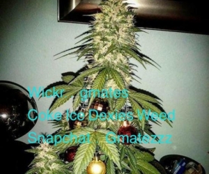 Wickr id..Gmates, Coke Ice Dexies Shard Charlie Weed Valium Xanax