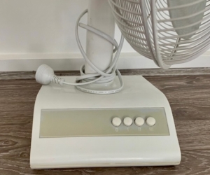 Fan