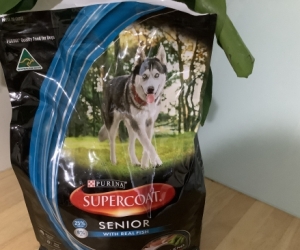 Purina supercoat senior dry dog food