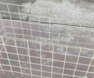 Vegie patch mesh frame