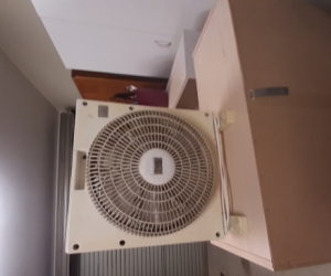 Electric fan