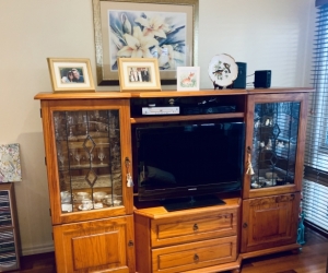 Entertainment Unit