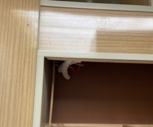 Wardrobe