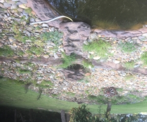 Waterfall pond
