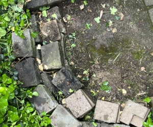 Pavers and Blocks