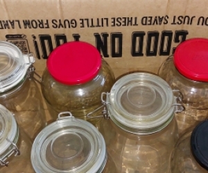 Glass Jars