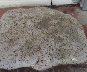 Flat Feature Rock 40cm x 30cm