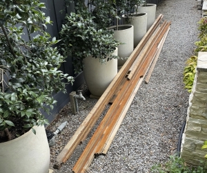 Timber
