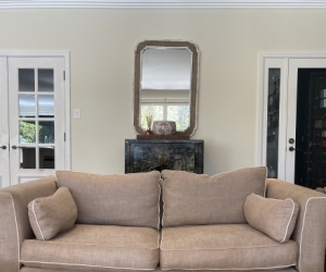Two Free Couches