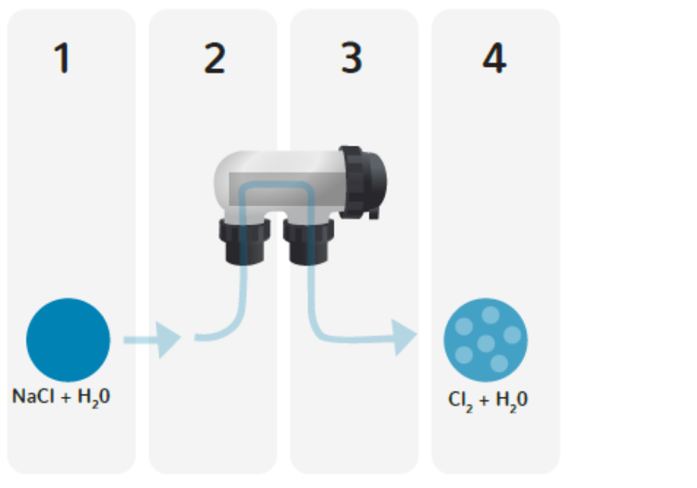 How Does a Saltwater Pool Chlorinator Work Baracuda Australia